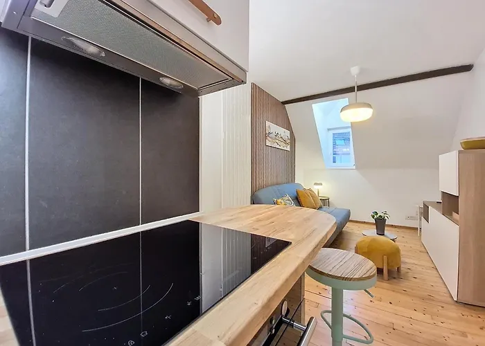 Chez Dame Coco - Entierement Neuf - Confortable - Proche Centre-Ville