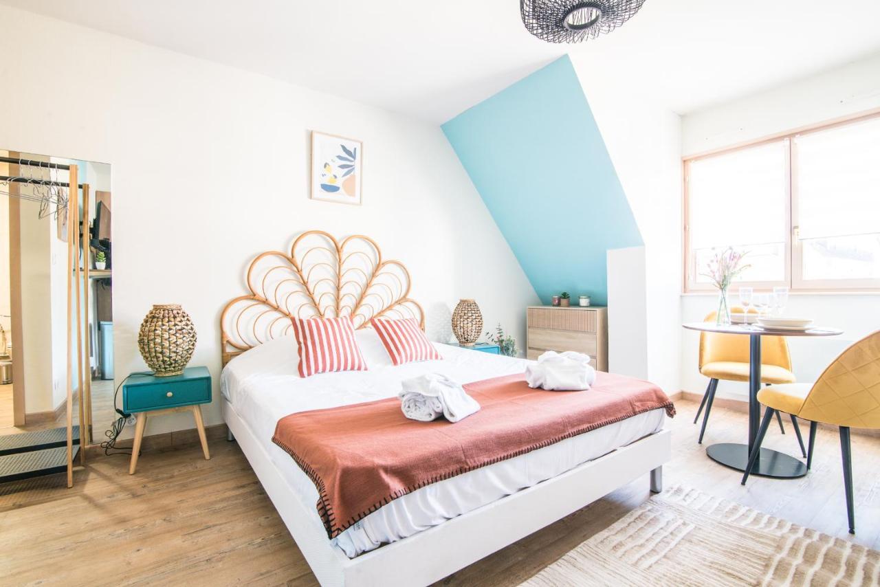 Lumineux - L'oasis - Parking Prive * Strasbourg
