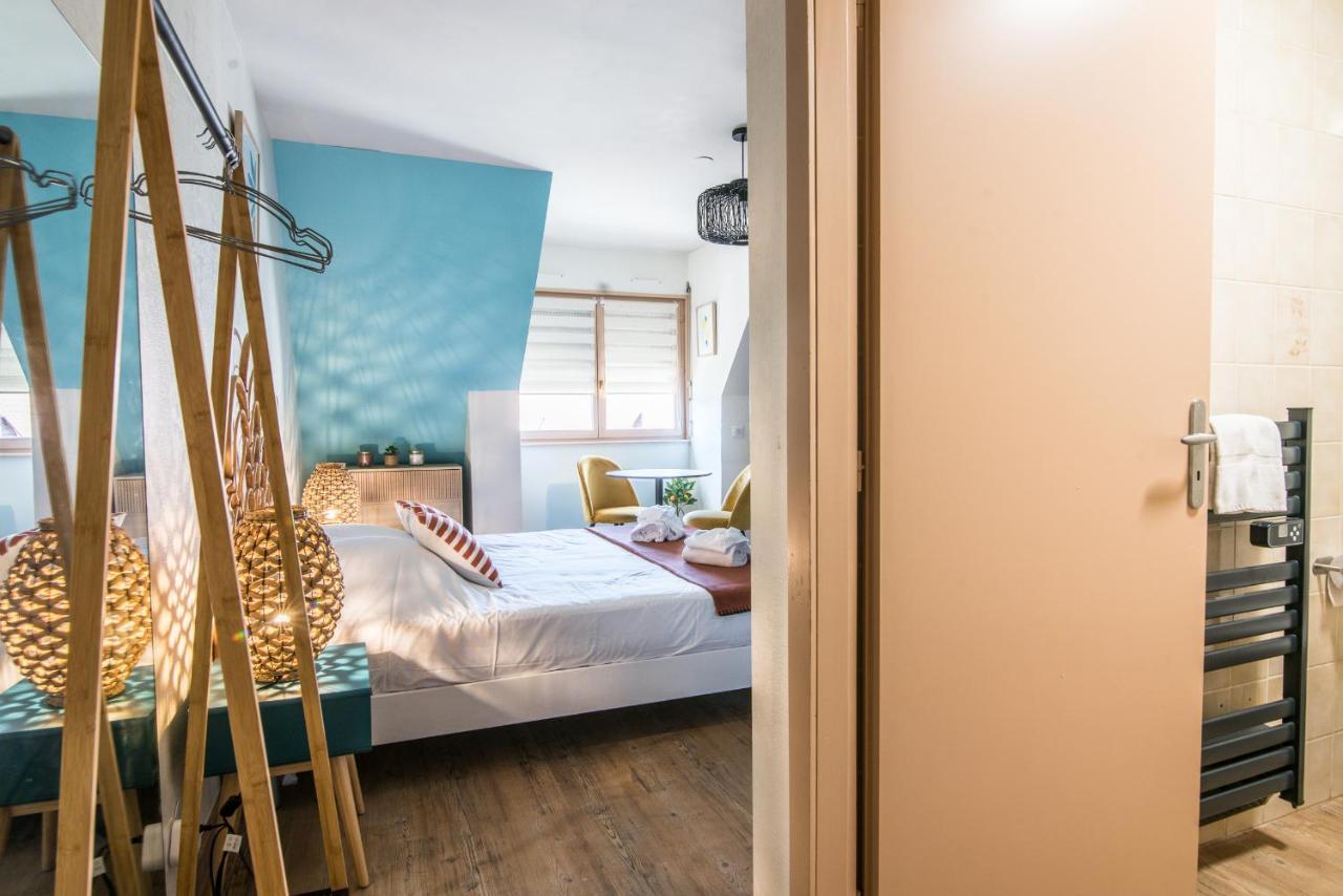Lumineux - L'oasis - Parking Prive * Strasbourg