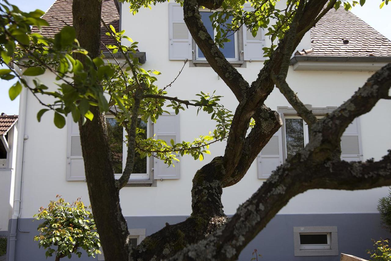 Guest house Ravissant 3p 90m2 Au Calme, Proche Du Parlement Europeen Strasbourg