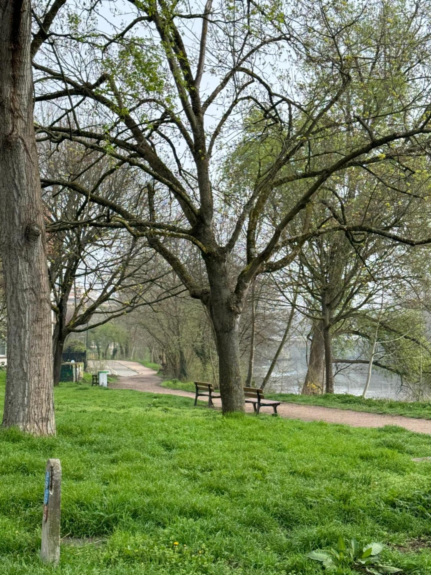 Strasbourg, Cosy Au Bord De L Eau * Estrasburgo