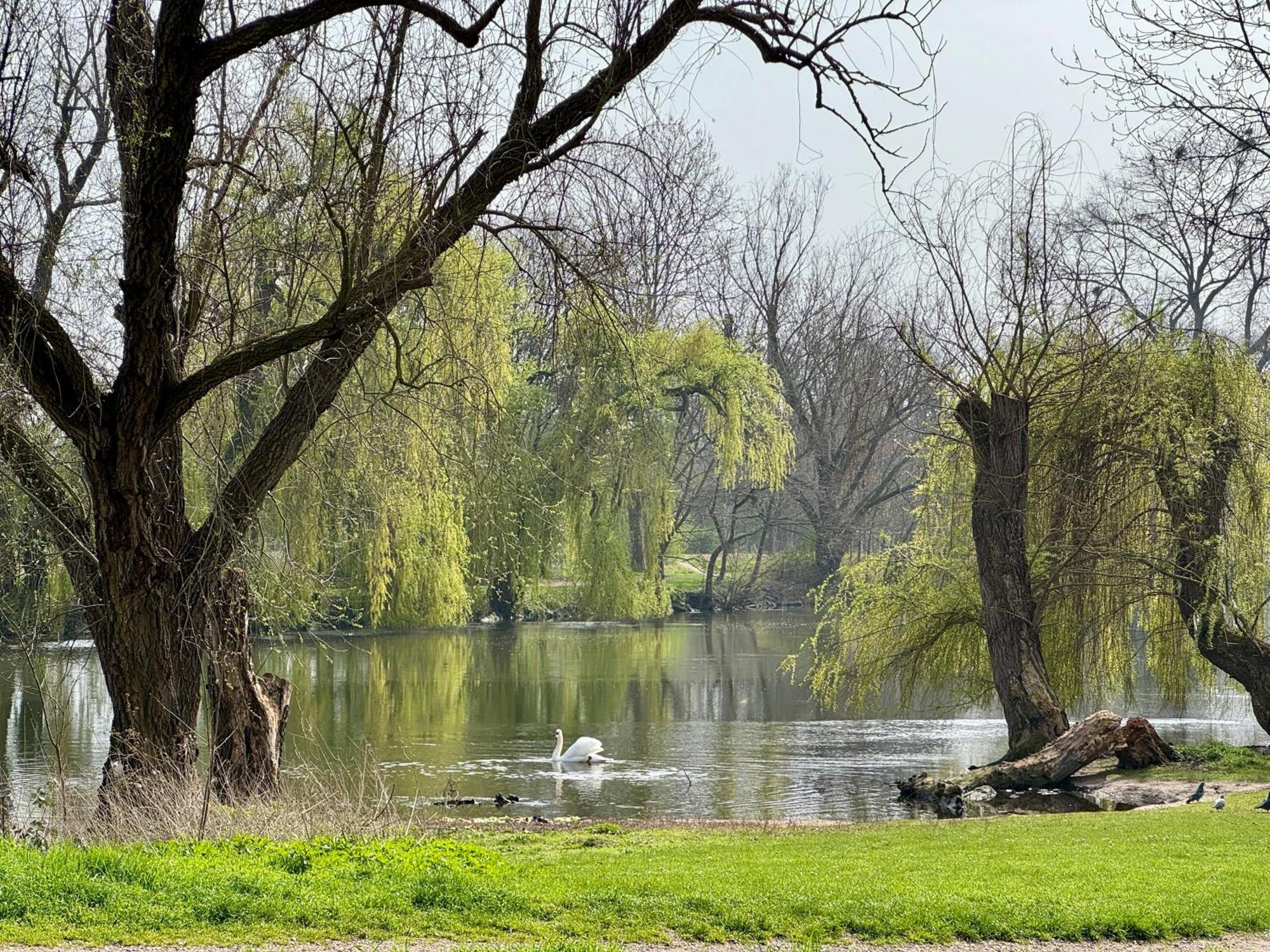 Apartamento Strasbourg, Cosy Au Bord De L Eau *