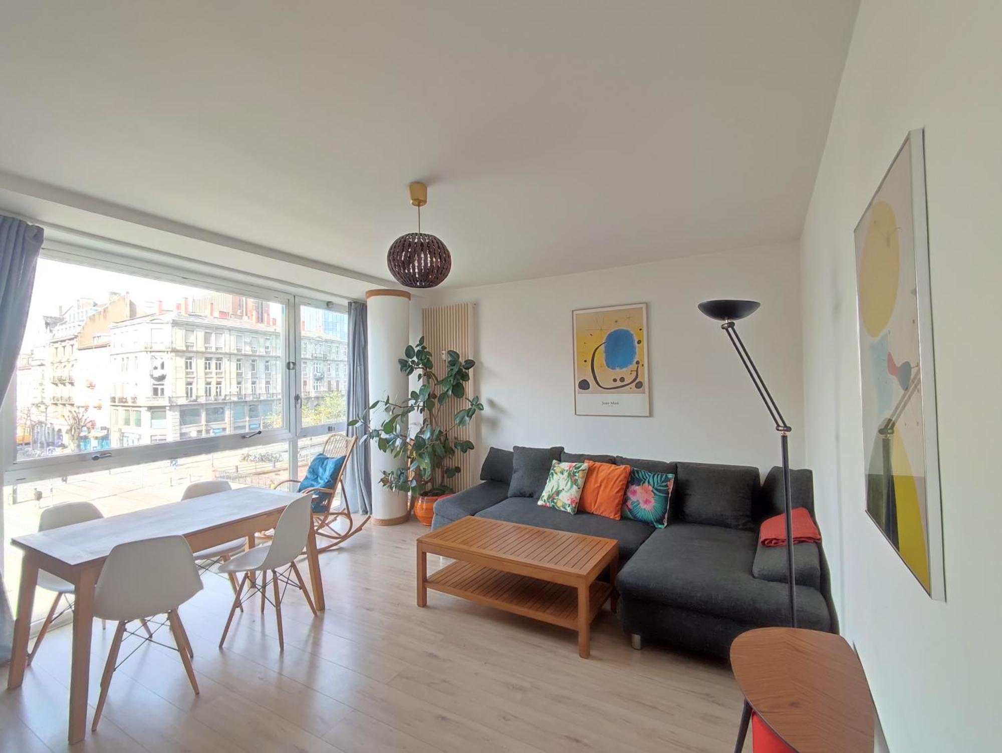 Au Coeur De Strasbourg, 3 Pieces Vue Sur L'ill! * Strasbourg