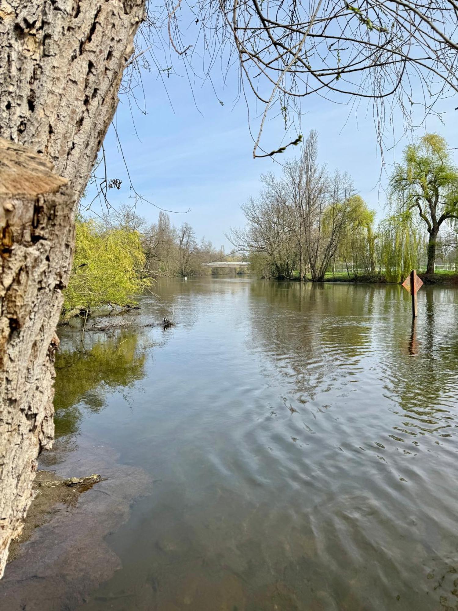 Strasbourg, Cosy Au Bord De L Eau Estrasburgo