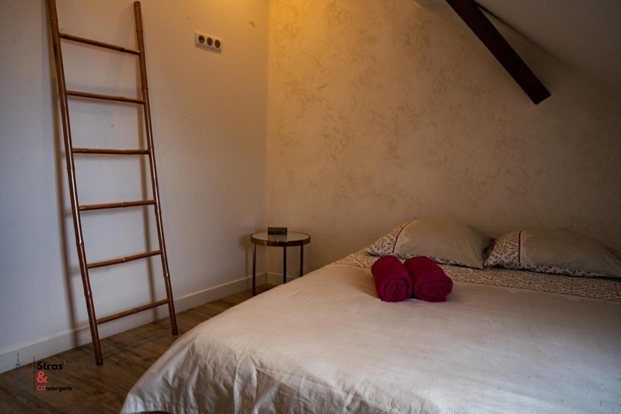 Apartment Belles Combles Alsaciennes Au Centre De Strasbourg