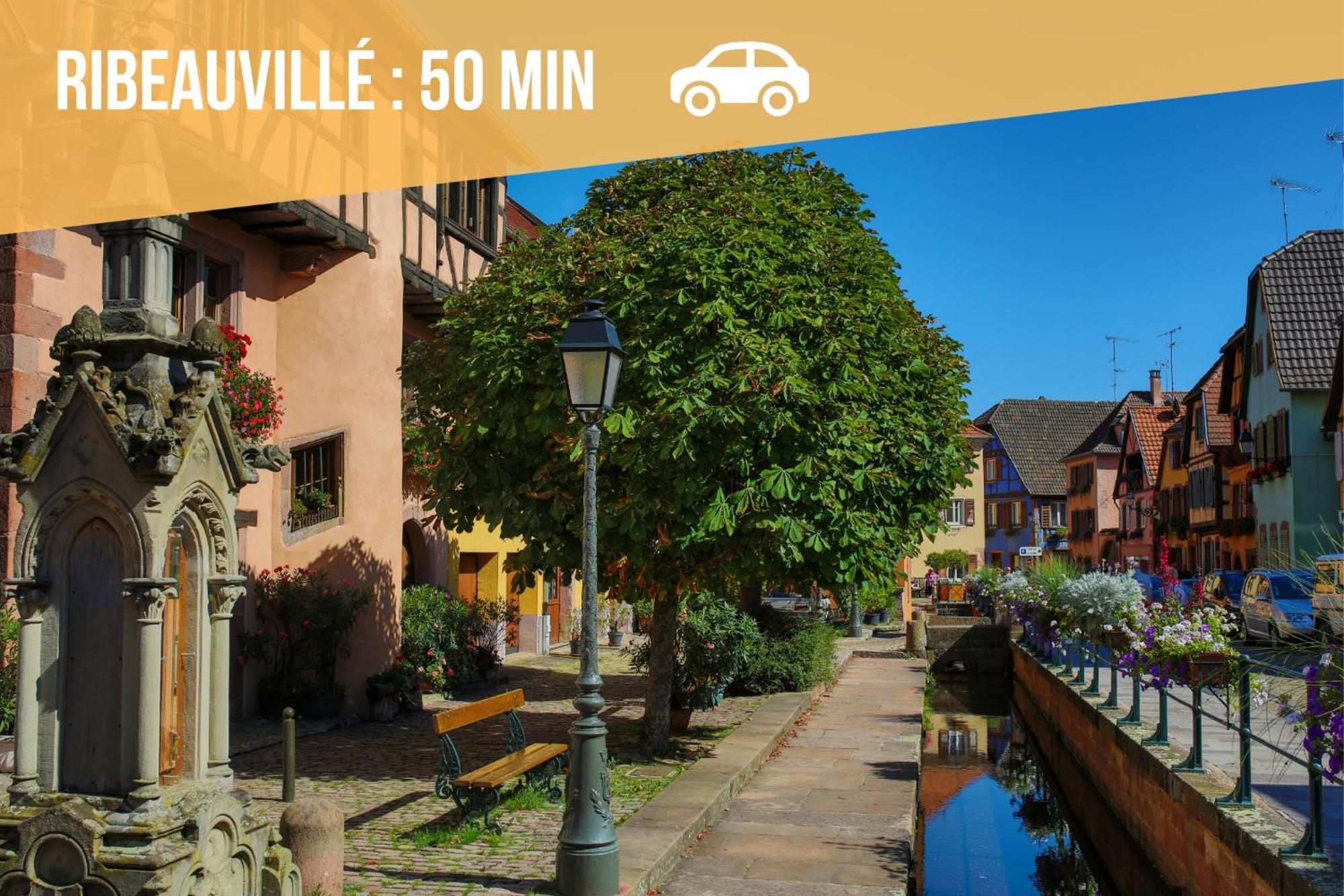 Lit Rond Tres Grand Et Confortable - Garage Possible Ou Parking Gratuit Rue - Gare 2 Min Et 4 Min En Tram - Ciel Etoile - Netflix Videoprojecteur - Luxe Et Evasion Apartment