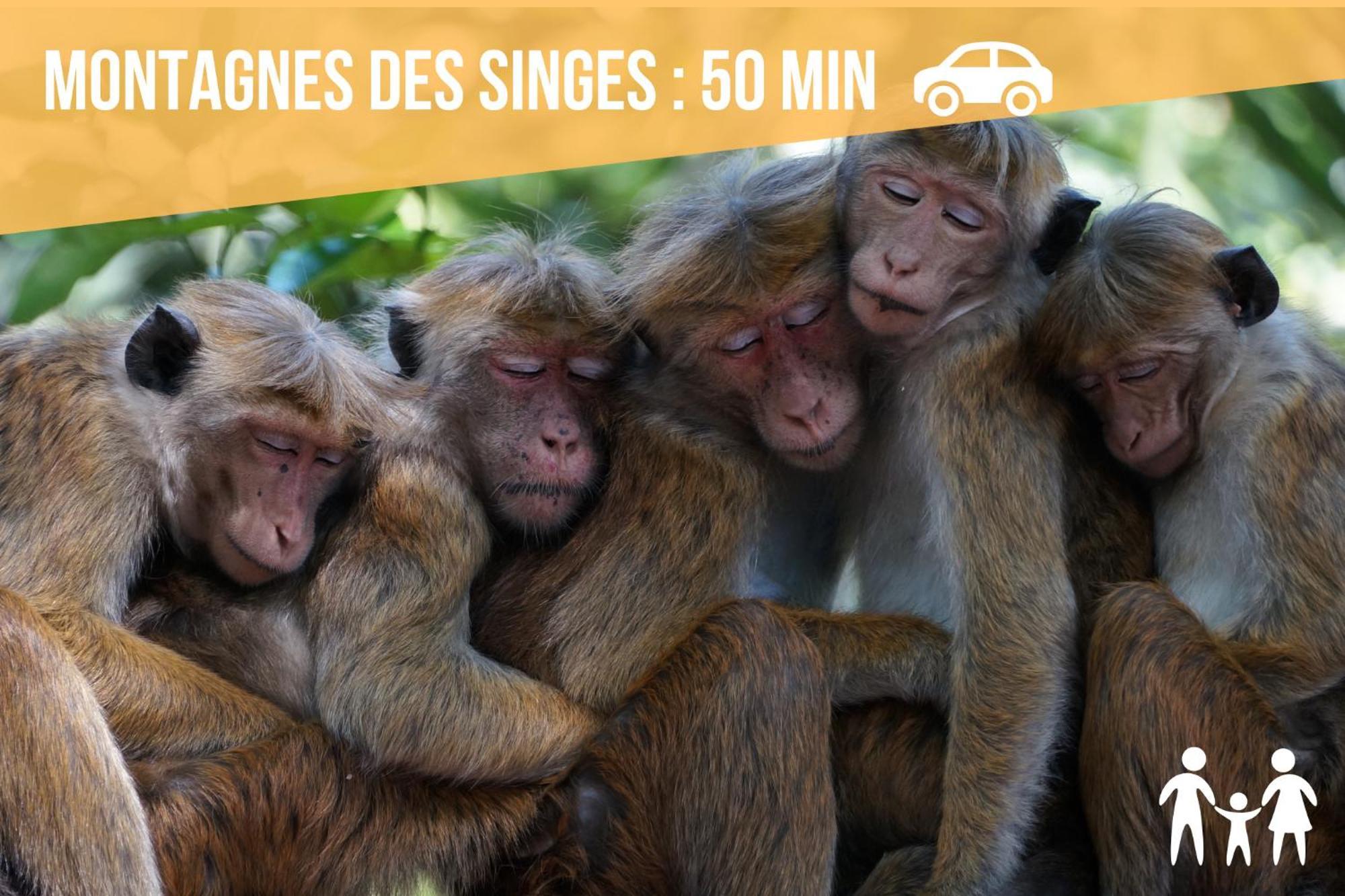 Lit Rond Tres Grand Et Confortable - Garage Possible Ou Parking Gratuit Rue - Gare 2 Min Et 4 Min En Tram - Ciel Etoile - Netflix Videoprojecteur - Luxe Et Evasion Apartment
