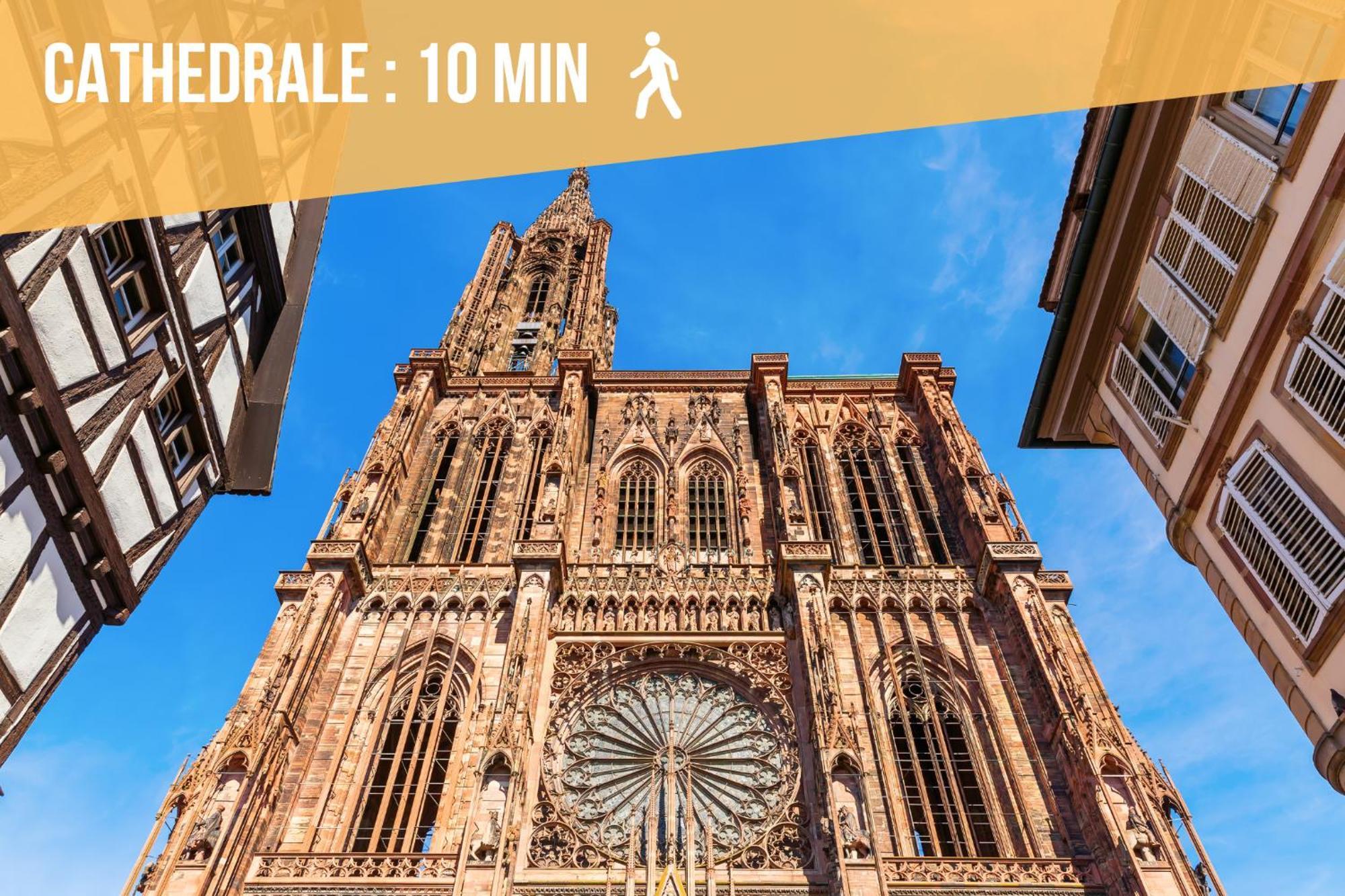 Lit Rond Tres Grand Et Confortable - Garage Possible Ou Parking Gratuit Rue - Gare 2 Min Et 4 Min En Tram - Ciel Etoile - Netflix Videoprojecteur - Luxe Et Evasion Apartment Straßburg