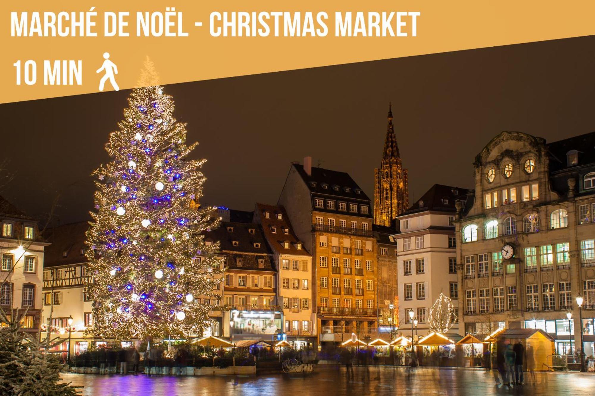 Apartment Lit Rond Tres Grand Et Confortable - Garage Possible Ou Parking Gratuit Rue - Gare 2 Min Et 4 Min En Tram - Ciel Etoile - Netflix Videoprojecteur - Luxe Et Evasion Straßburg