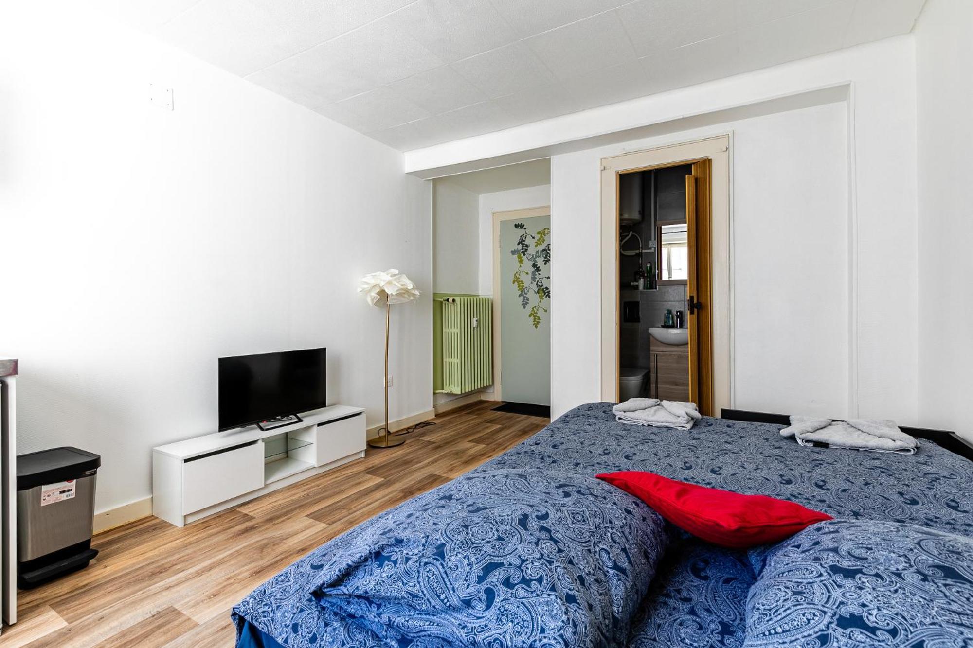 Centre / Quartier Krutneau * Strasbourg