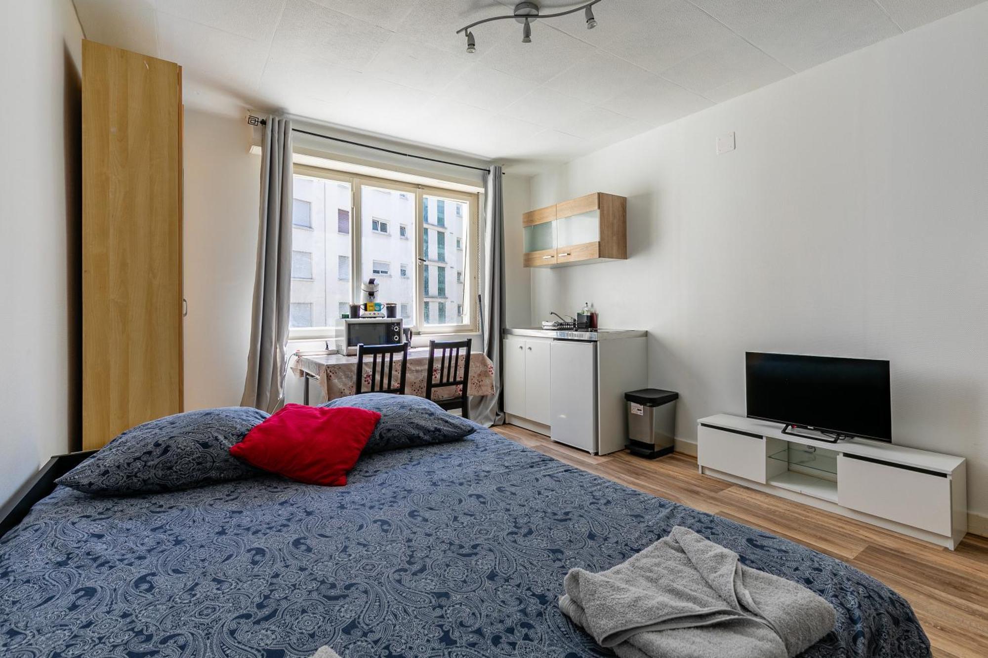 Centre / Quartier Krutneau Apartment *