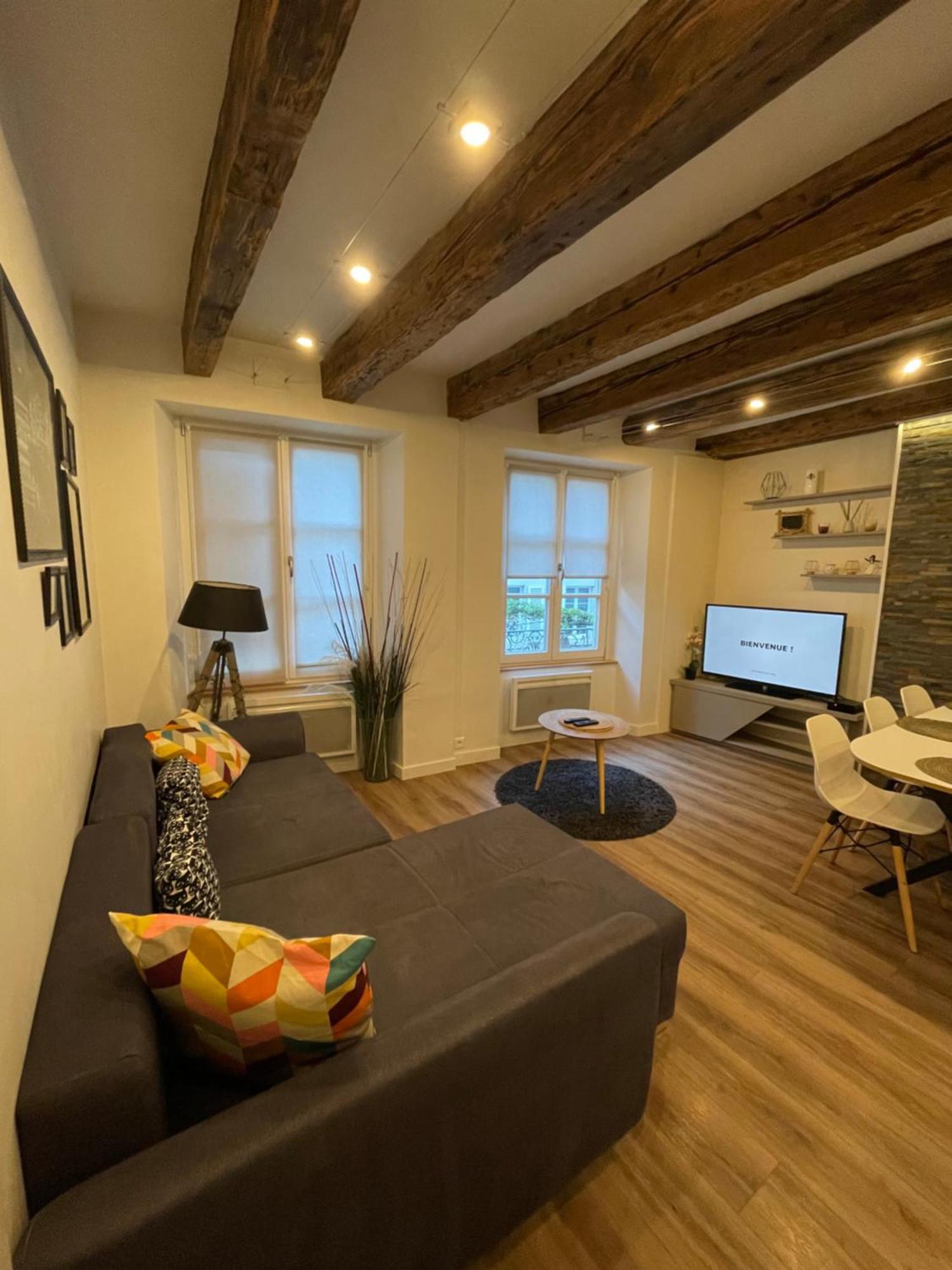 Appartement Grand 5 Pieces Petite France Strasbourg