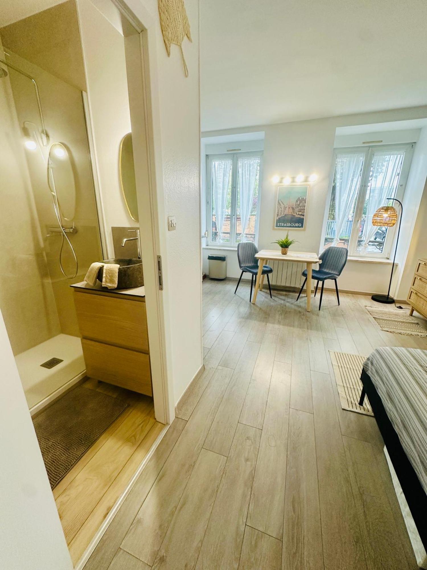 Apartment Studio, Gare, Petite France, Hypercentre *