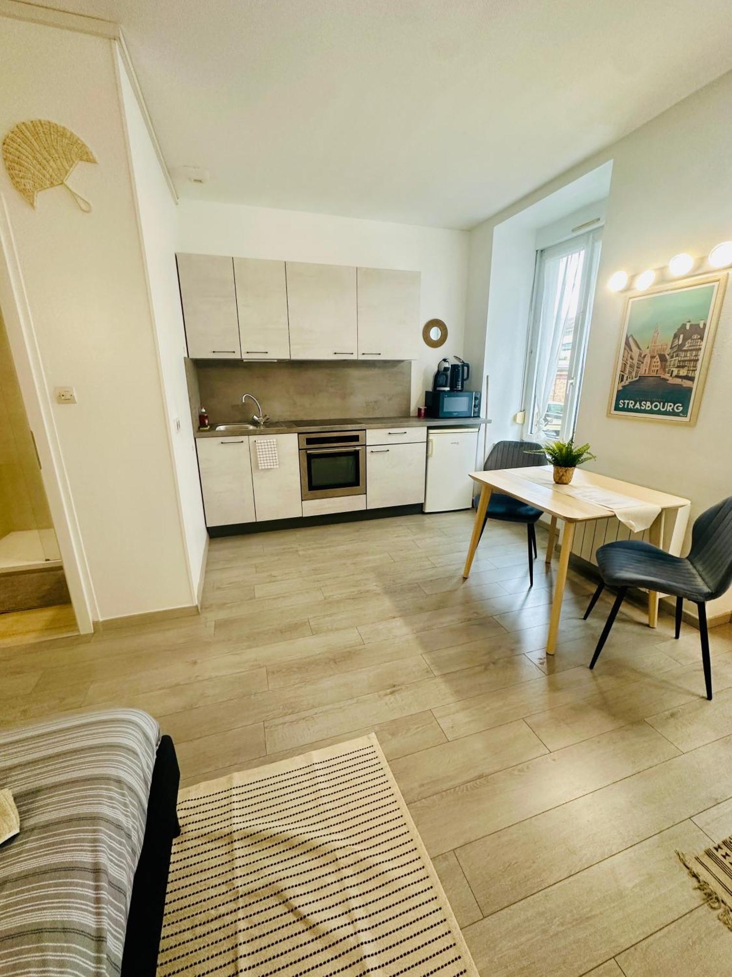 Studio, Gare, Petite France, Hypercentre Apartment *