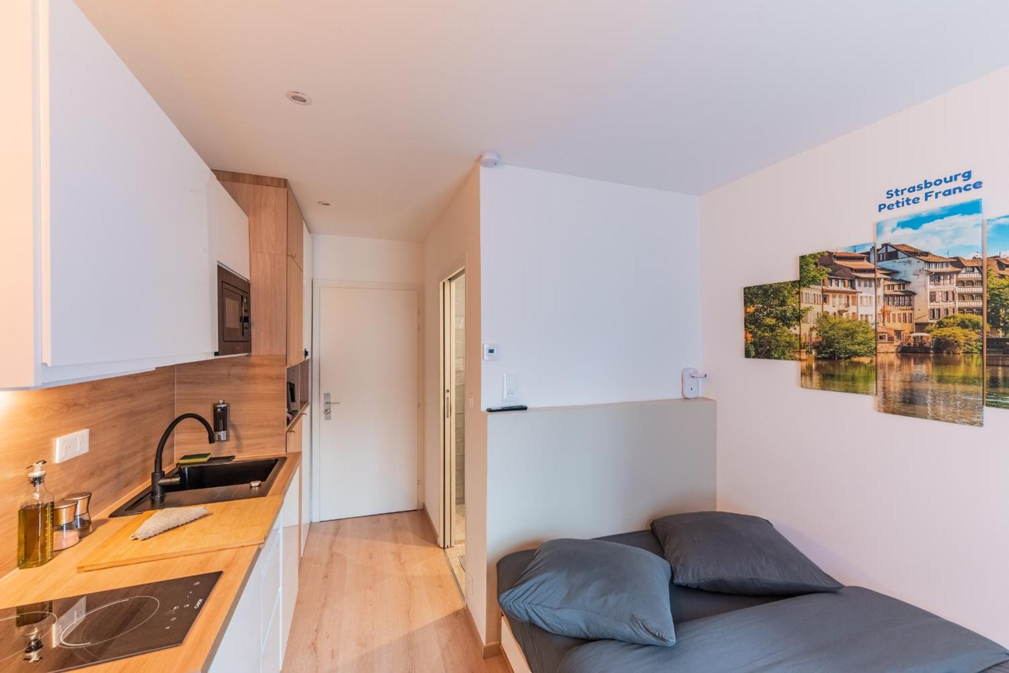 1 - Gare - Petite France - Commerces A Proximite Apartment *