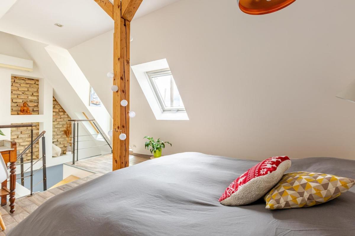 Superbe Duplex Prox Centre-ville Beautiful Duplex Close To Center Apartment Strasbourg