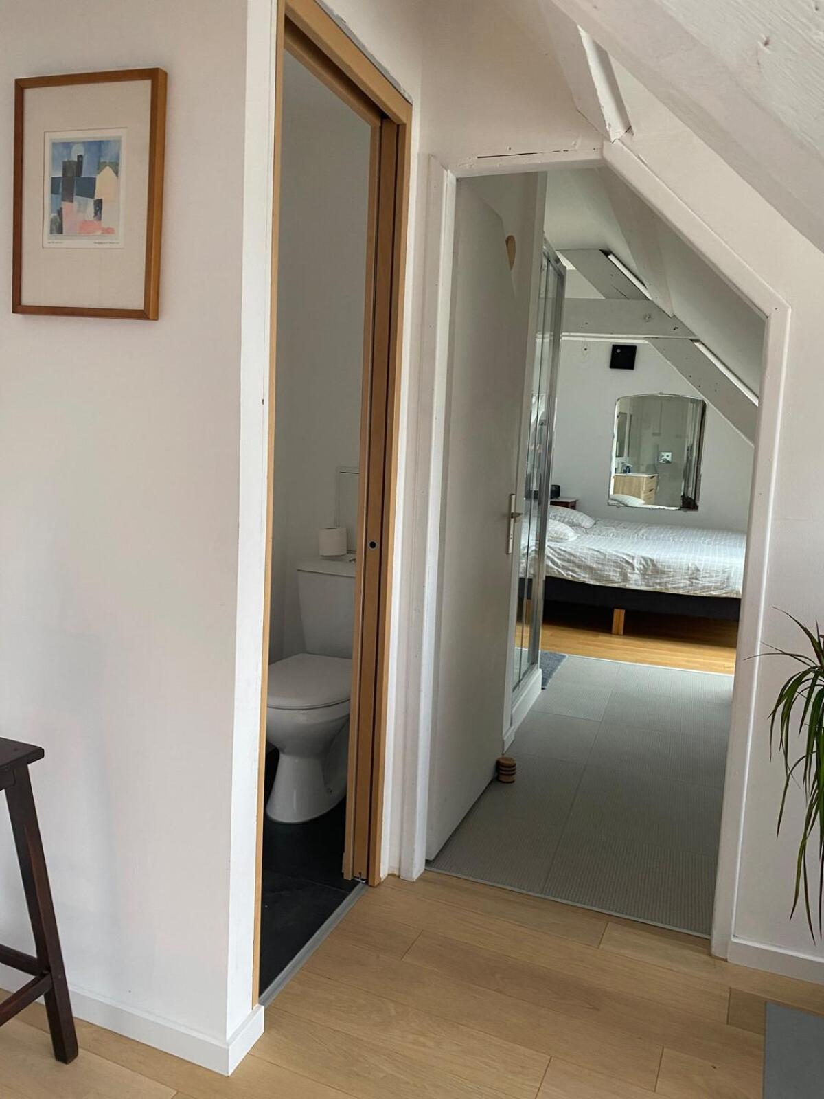 Appartement Spacieux Et Lumineux Au Centre De Straatsburg