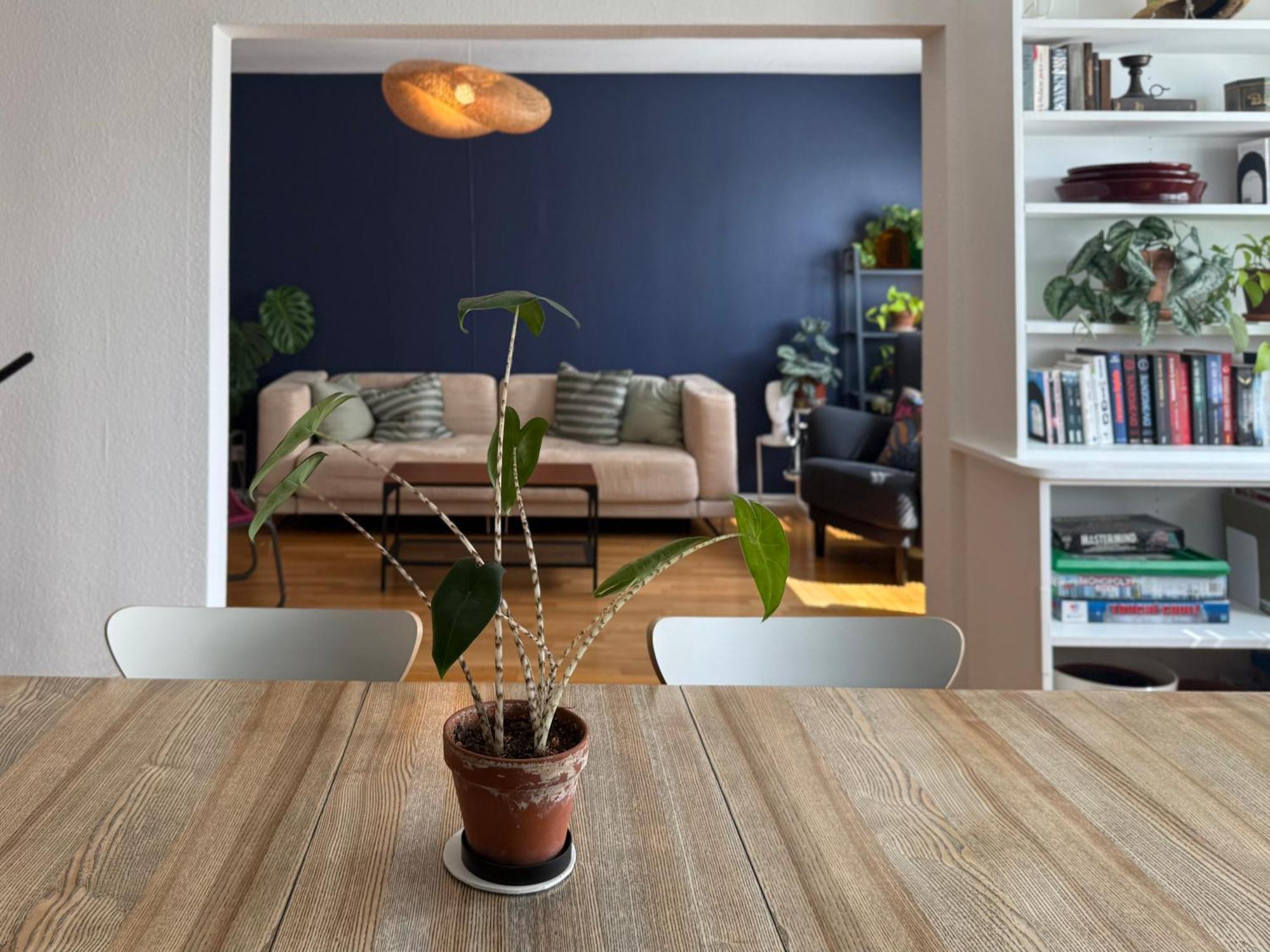 Iii 135m2 Esplanade Apartment