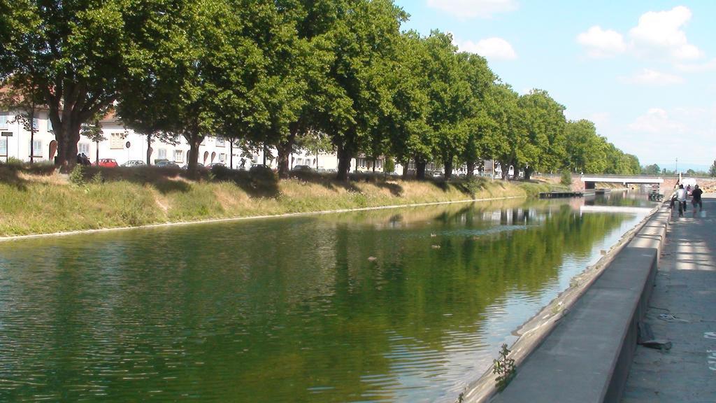Avec Terrace Docks Straatsburg